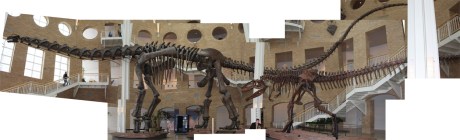 ArgentinosaurusCompilation1